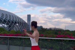 主场作战！托马斯布洛林92年欧洲杯精彩集锦！当时的瑞典队！